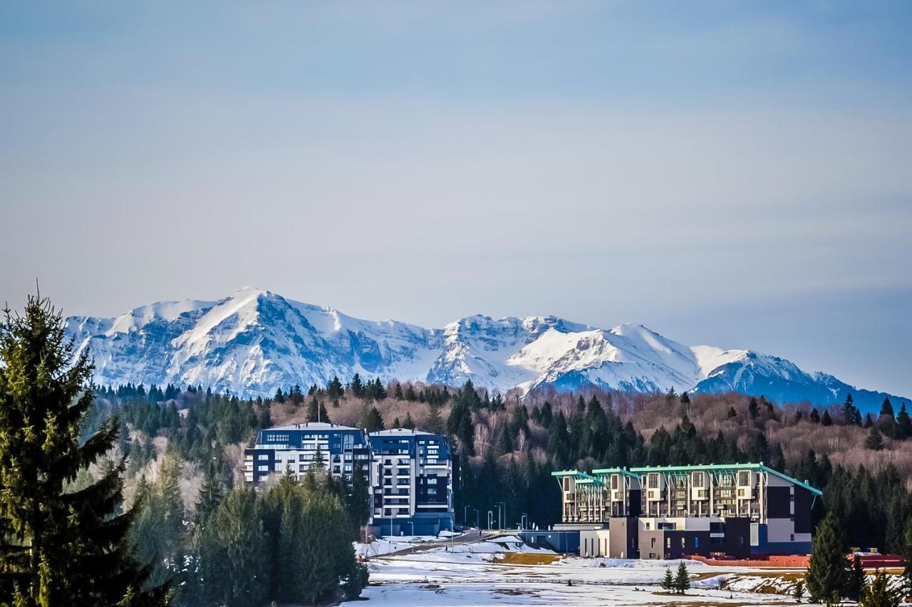 Art Gallery Apartment In Silver Mountain Пояна-Брашов Экстерьер фото